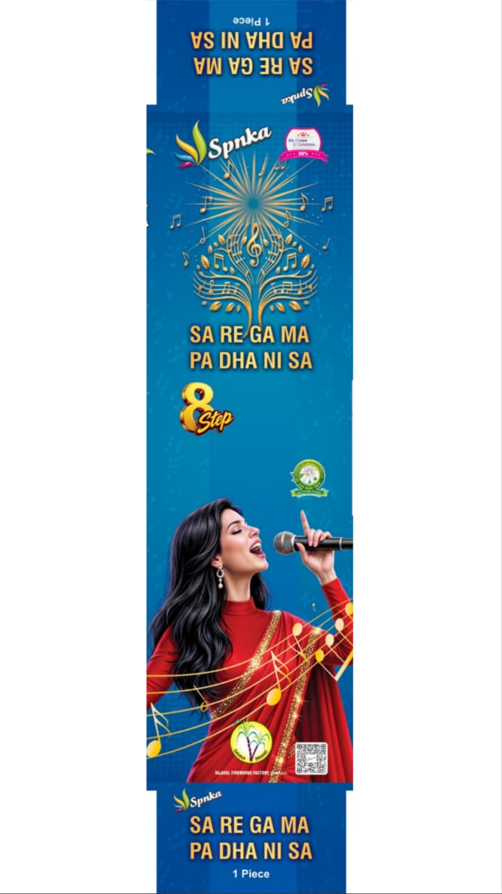 Sa Re Ga Ma Pa Dha Ni Sa